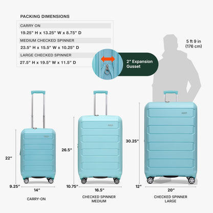 Traveler's Choice Pagosa Hardshell Expandable Luggage with Spinner Wheels